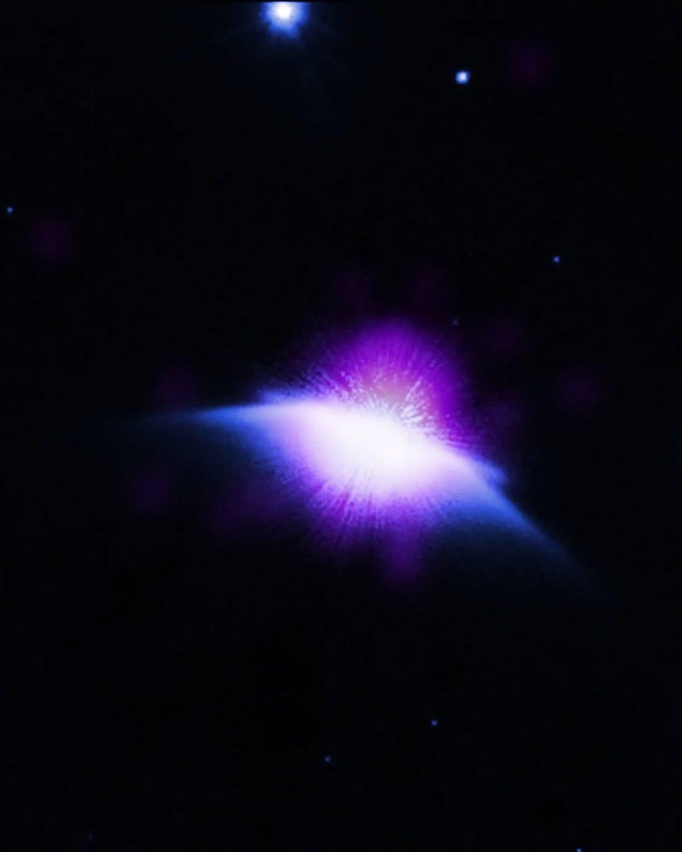 Javier Feu tweet media