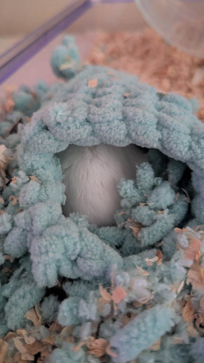 よう8024 tweet media