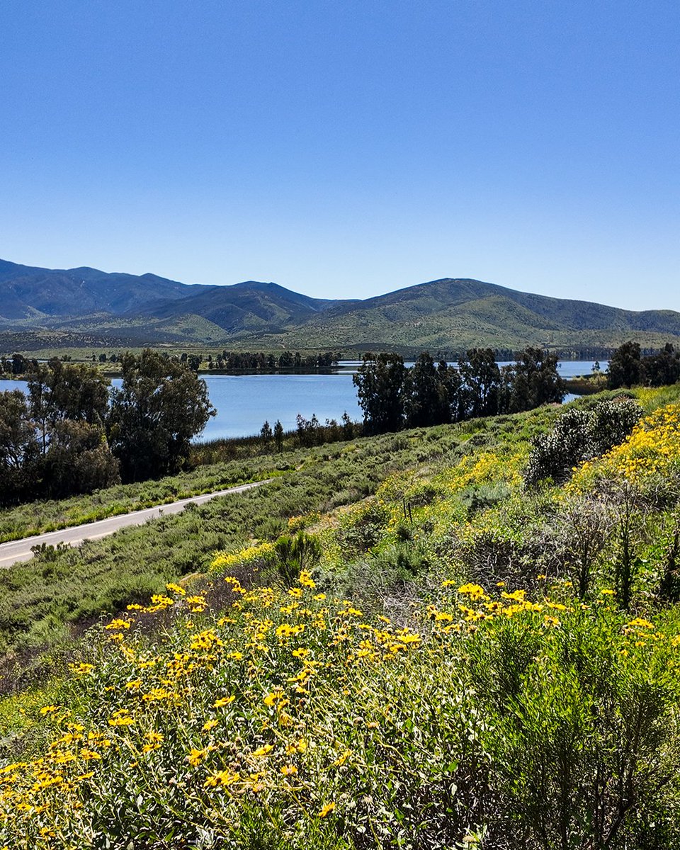 CVLiving's tweet image. ☀️ It is a beautiful day out here at Mountain Hawk Park in #chulavista