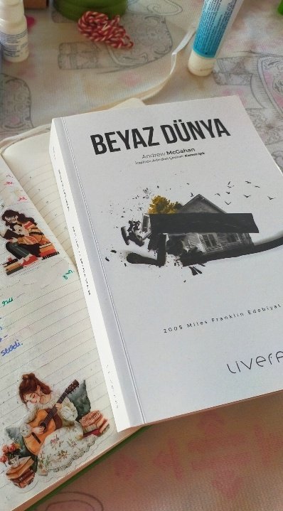 Çok katmanlı, üç nesillik bir aile romanı. Arka planda Avustralya tarihi. Tarihin bir karakter gibi hikayeyi şekillendirdiği aile anlatımlarına bayılıyorum zaten. Haftasonundan ziyade haftayı bununla geçirdim. Bitirmek üzereyim. Oldukça sevdim.