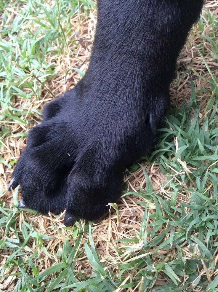 since i face revealed, it’s only fair that i… feet reveal too. nice comments only, okay?!