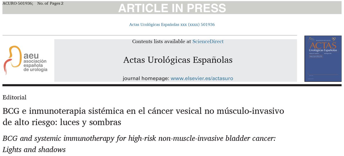 DrFelixGuerrero's tweet photo. 📰 Glad to share my recently published editorial at @actasurologicas reflecting about BCG + systemic immunotherapy for HR-NMIBC: lights and shadows
👉 https://t.co/uXPhapwD4a
@RodriguezFaba @GuardConsortium @Urologia12 @ROC_Urologia @H12Octubre @cdanicas @bvh12o @InfoAeu @GUOaeu https://t.co/XlWewYRLOY