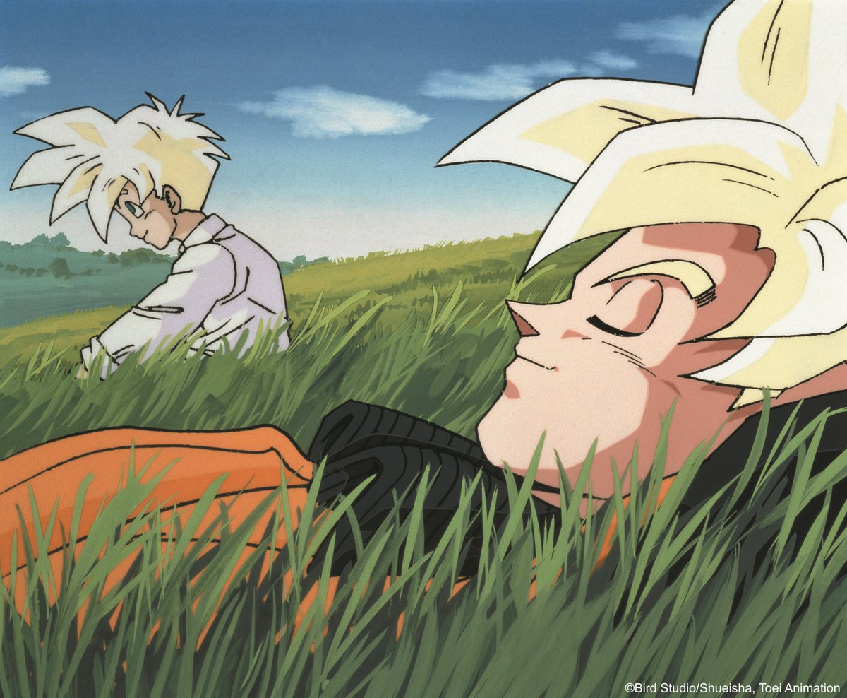 Dragon Ball Perfect Shots (@dbperfectshots) on Twitter photo 