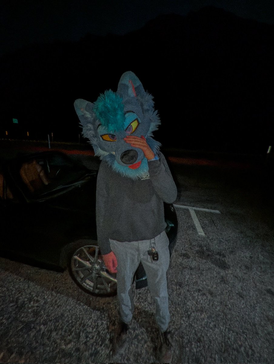 dusty 📐 tweet media