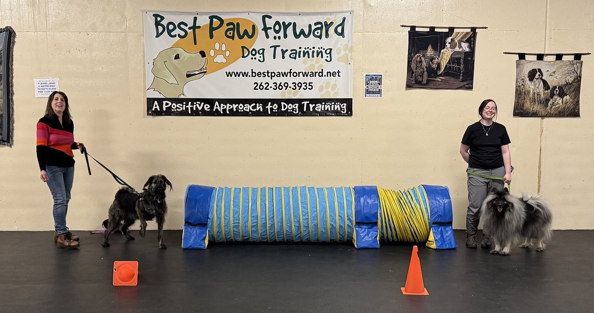 bestpawforwardw's tweet photo. Big cheers to our #RallyAgilityCombo class grads! These teams tackled fast-paced Agility and precise Rally each week building skills, teamwork, and communication.  #GradPhotos #Rally #Dogs #DogSports  #RewardBasedTraining #Agility  #TopChoiceWinner https://t.co/AwiqDuHy7w