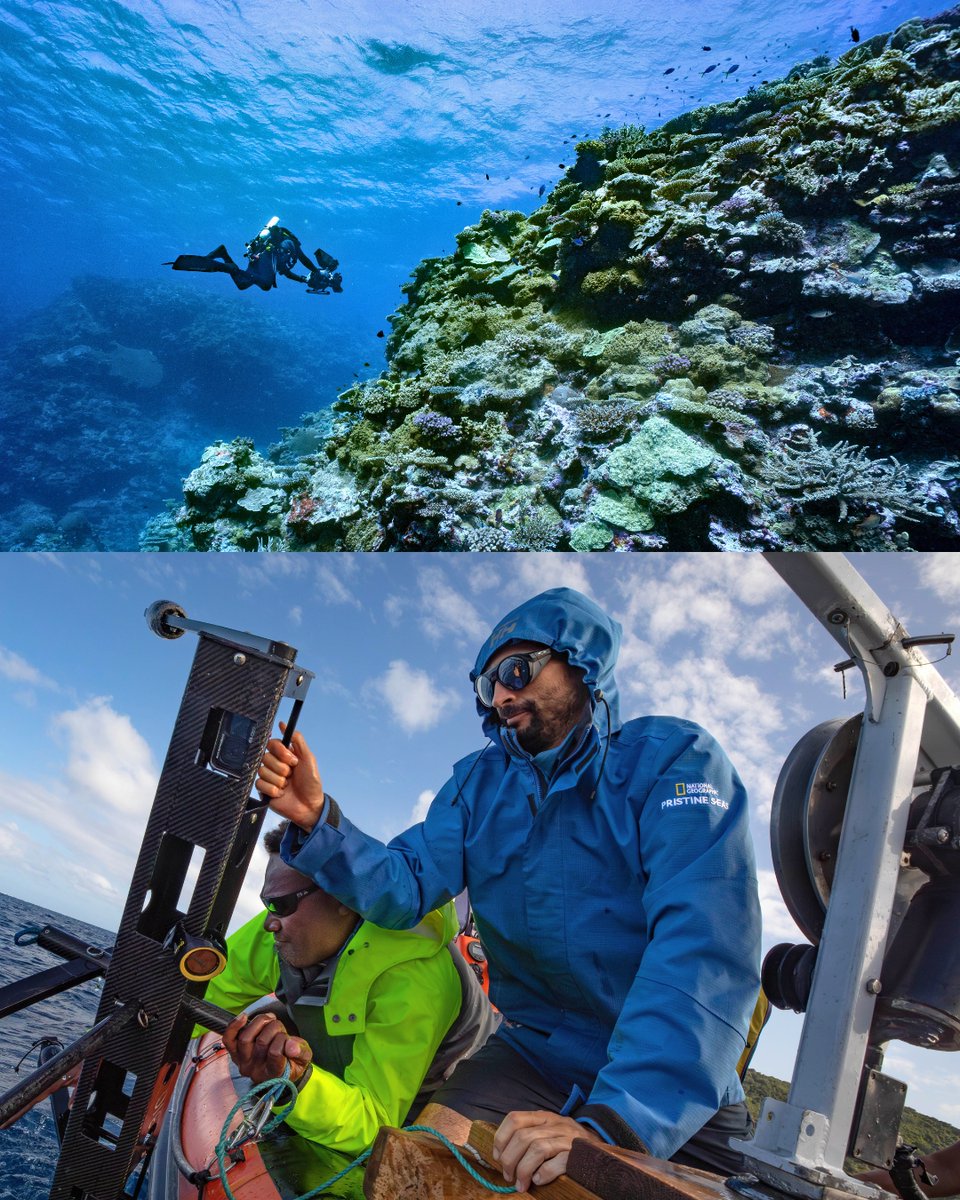 Lindblad Expeditions tweet media