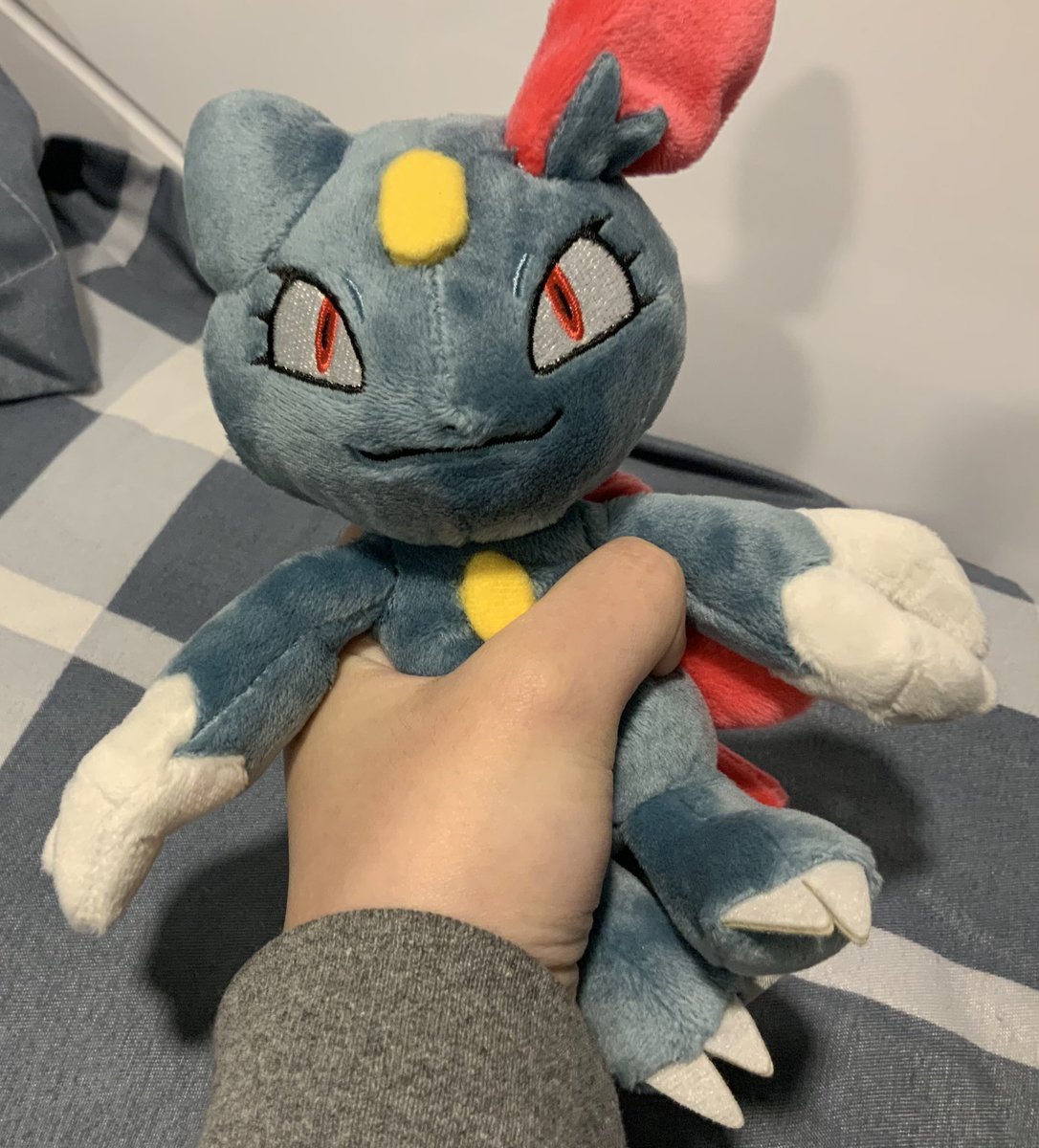 Zee 🐟 tweet media