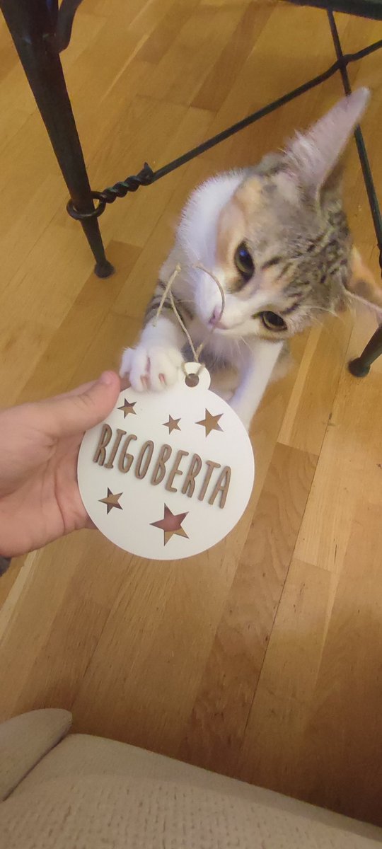 pilaareta's tweet photo. Unos 40€ (vivía en la nave y en julio se le metió una espiga en el ojo, le tuvimos que llevar al veterinario y darle antibiótico y se tuvo que quedar a vivir en casa jeje) https://t.co/eljmA0B8Zo