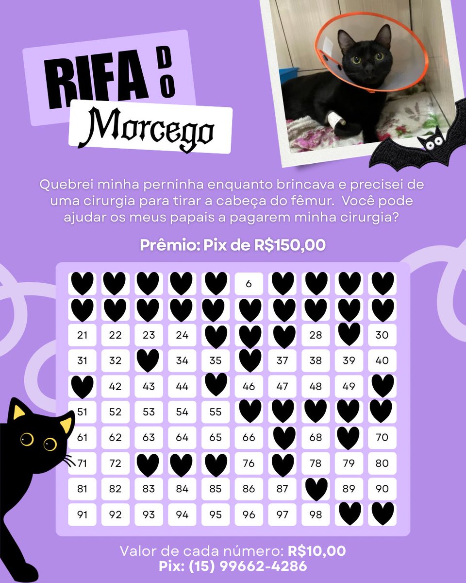 ⚠️AJUDA⚠️

Meu gatinho sofreu uma fratura de fêmur enquanto brincava com a irmã dele e precisou passar por uma cirurgia. Por conta das minhas despesas médicas (sou doente crônica), ficou bastante difícil conseguir pagar a conta do vet, que veio alta. Podem ajudar com a rifa? 💜