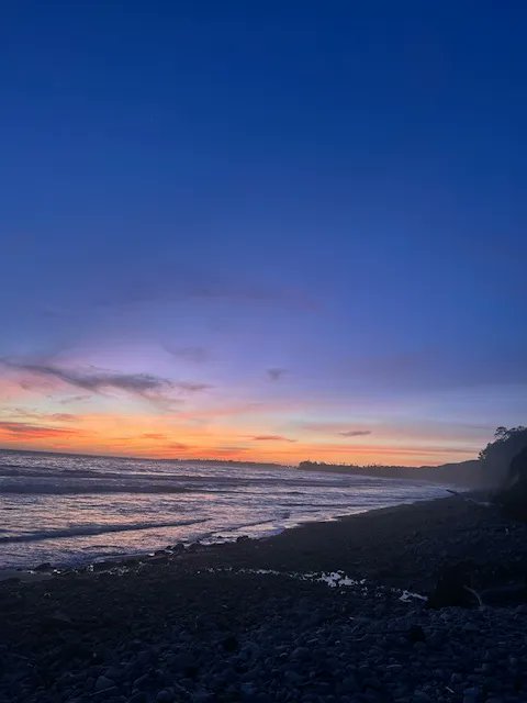 Rachel Lithgow tweet media