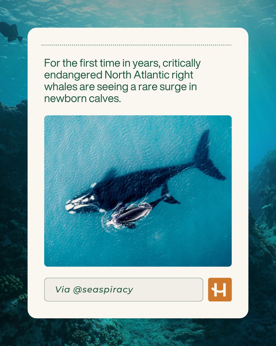 happsysleep tweet media