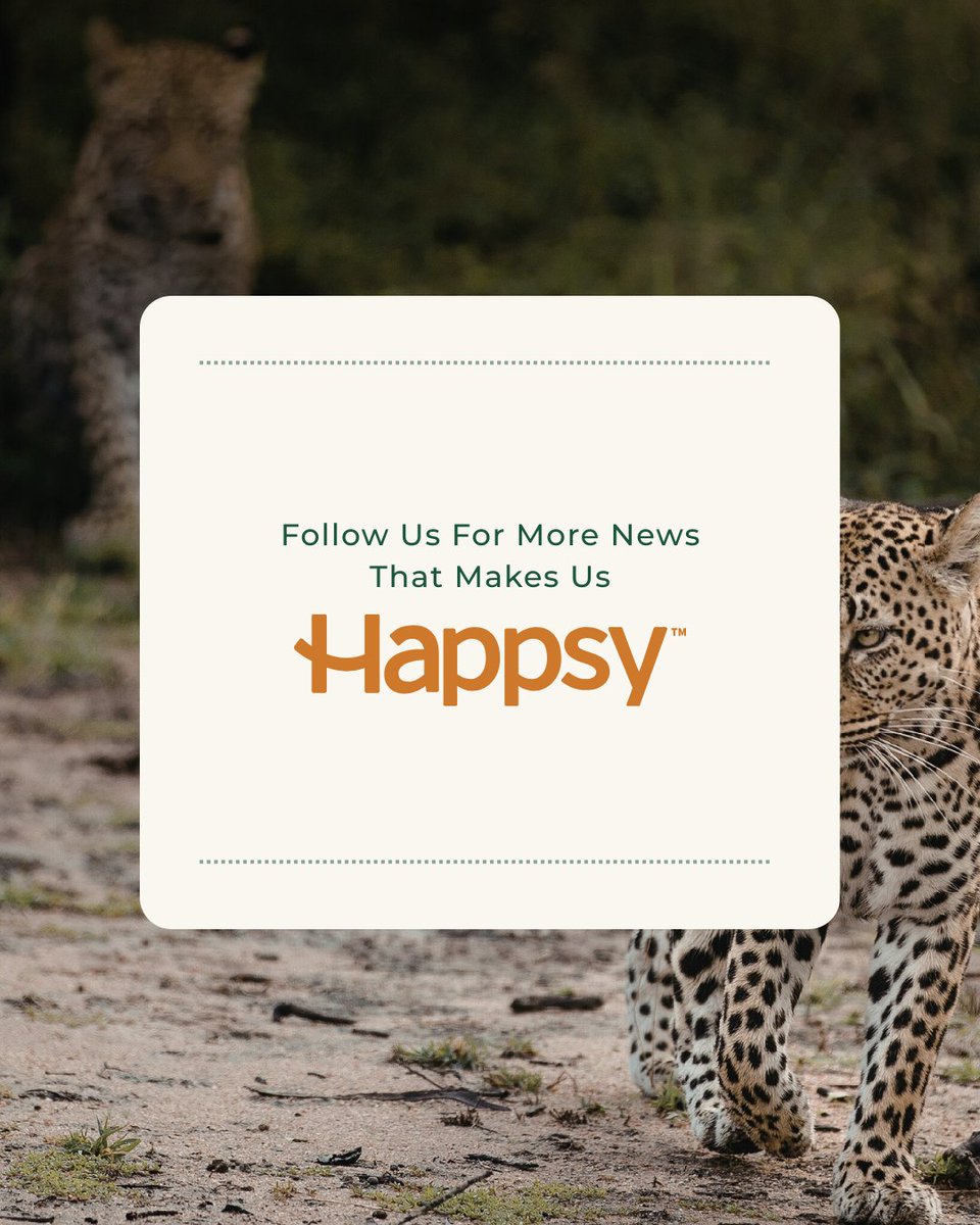 happsysleep tweet media