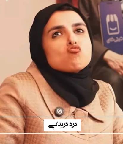 Mehrdad Mir tweet media