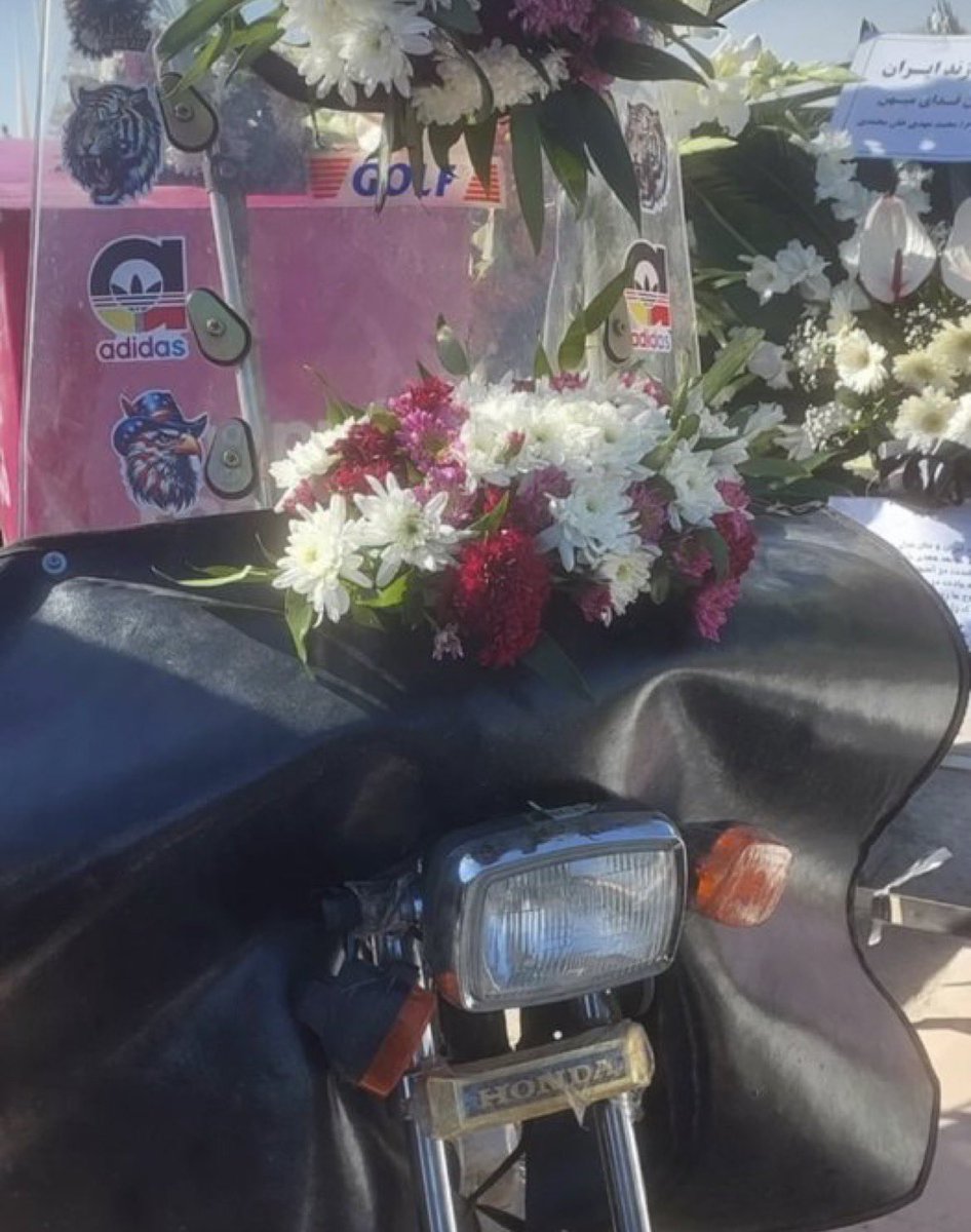 Moein Najafi tweet media