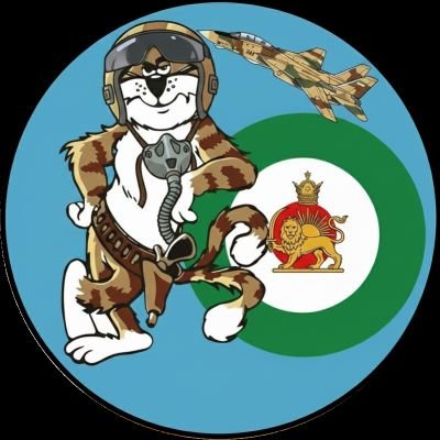 آهنگر 🇮🇷 tweet media