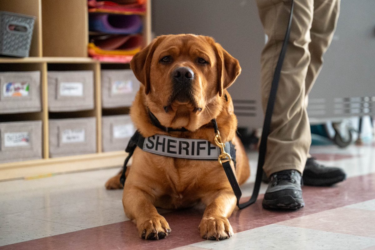 Worcester County Sheriff's Office tweet media