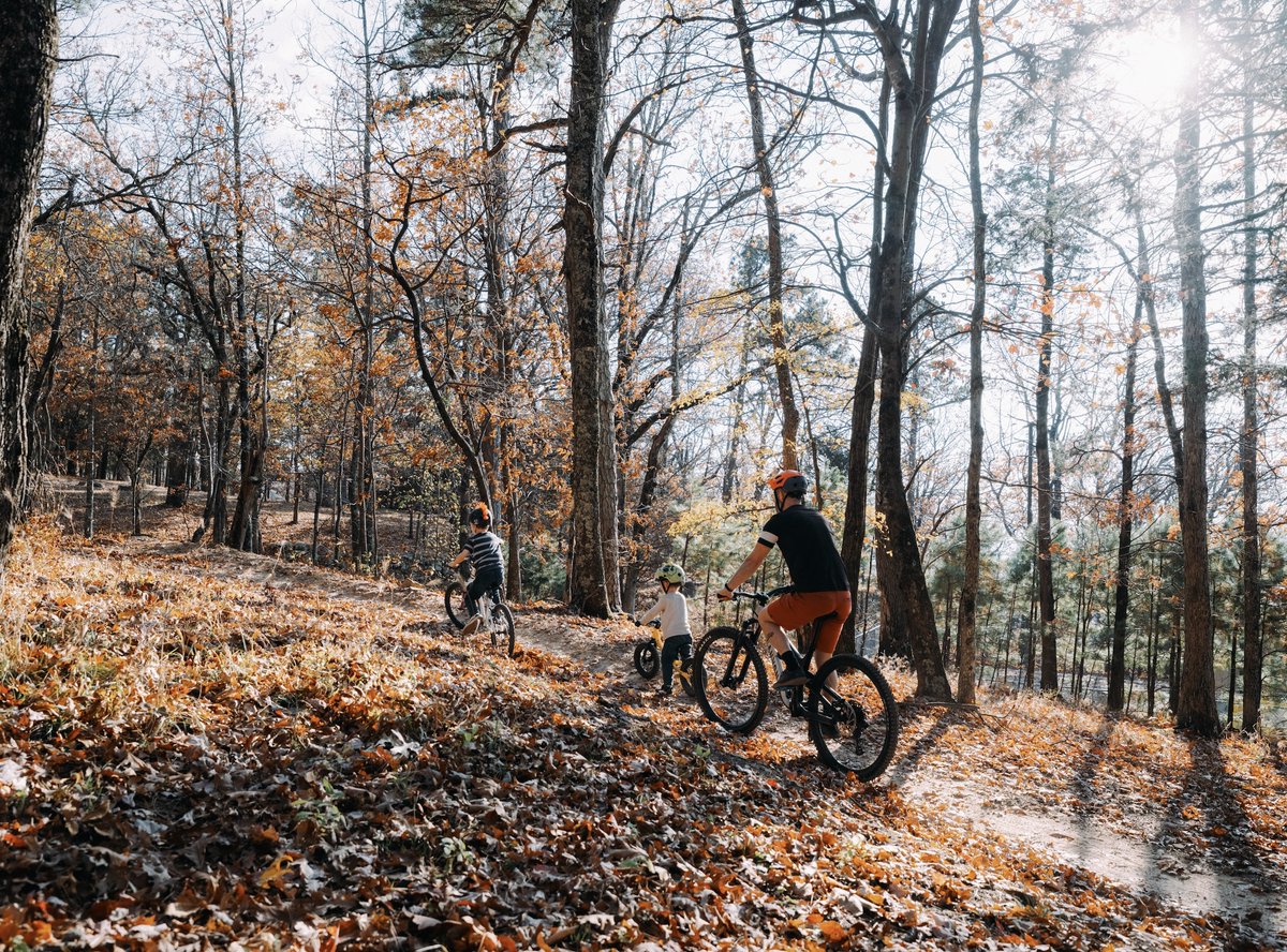 Arkansas State Parks tweet media