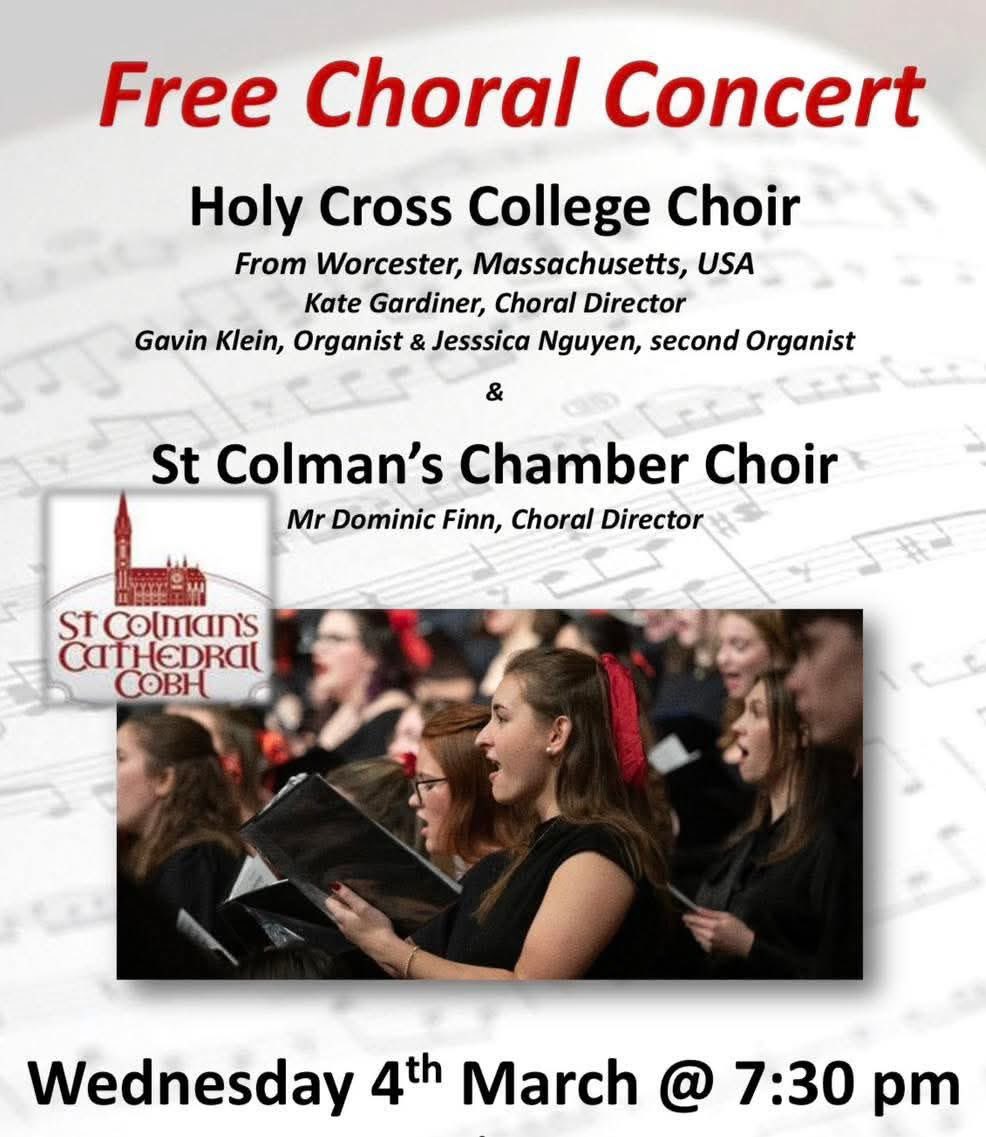 Visit Cobh tweet media