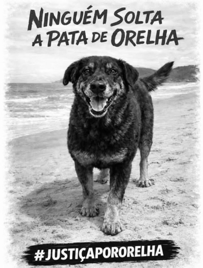 naimar_da's tweet photo. Vamos continuar 
MPSC ORELHA MERECE JUSTIÇA https://t.co/51p1SFel43