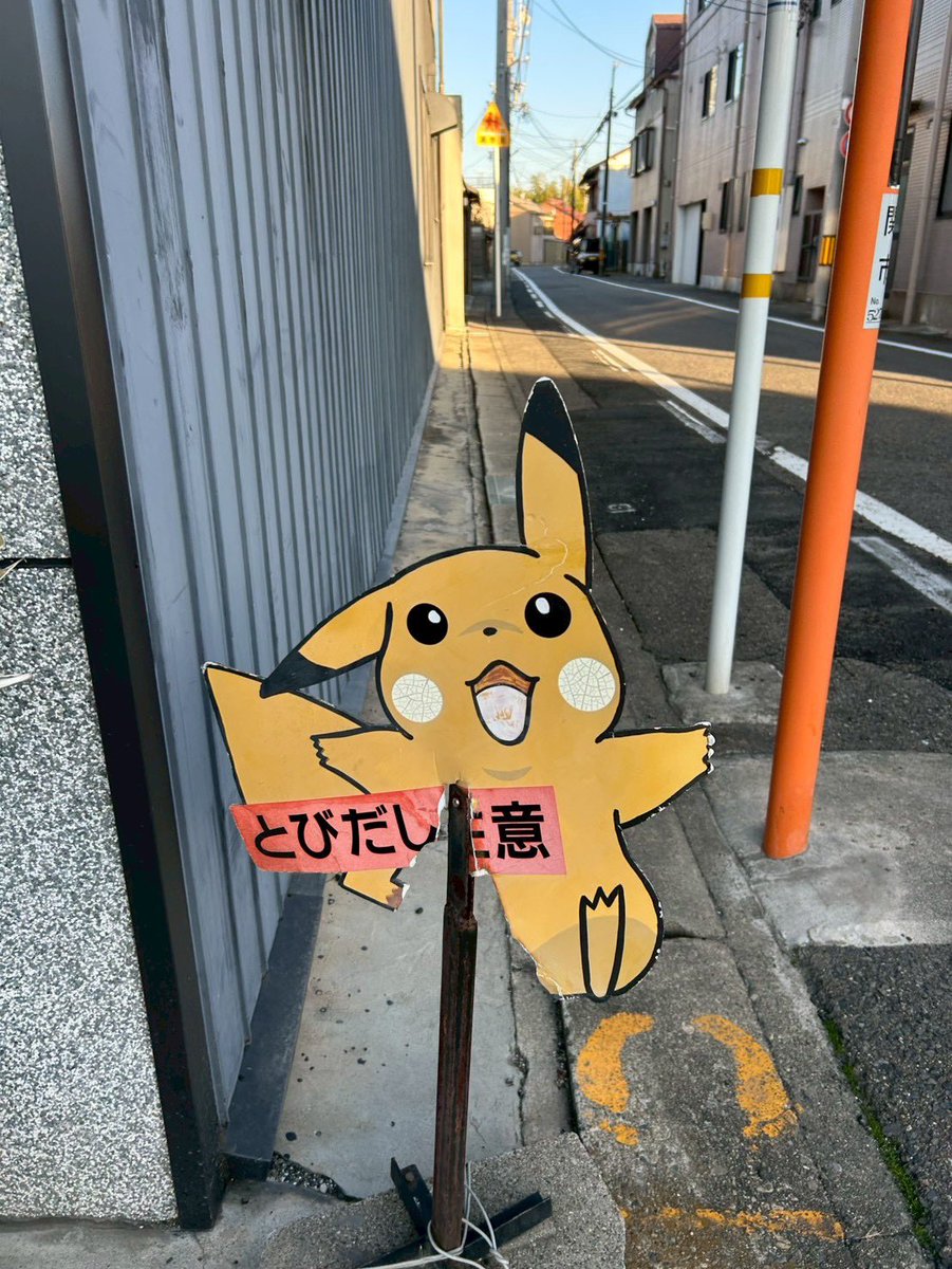 pawpawmelp's tweet photo. もういい　もどれ　ピカチュウ https://t.co/RDQCfYW1Vk