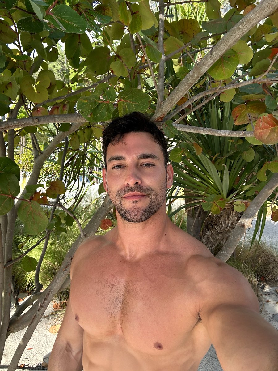 li-or-id-el tweet media