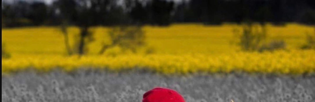 The Man Who Paints Spring