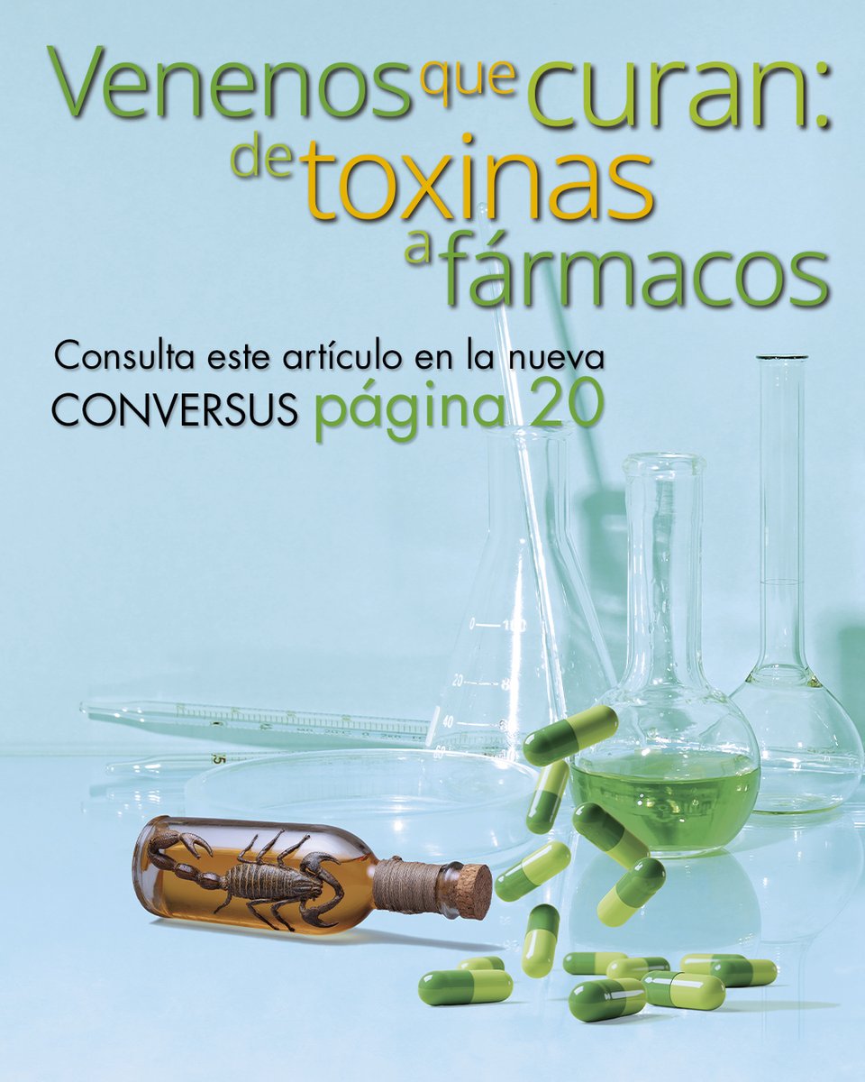 Conversus IPN tweet media