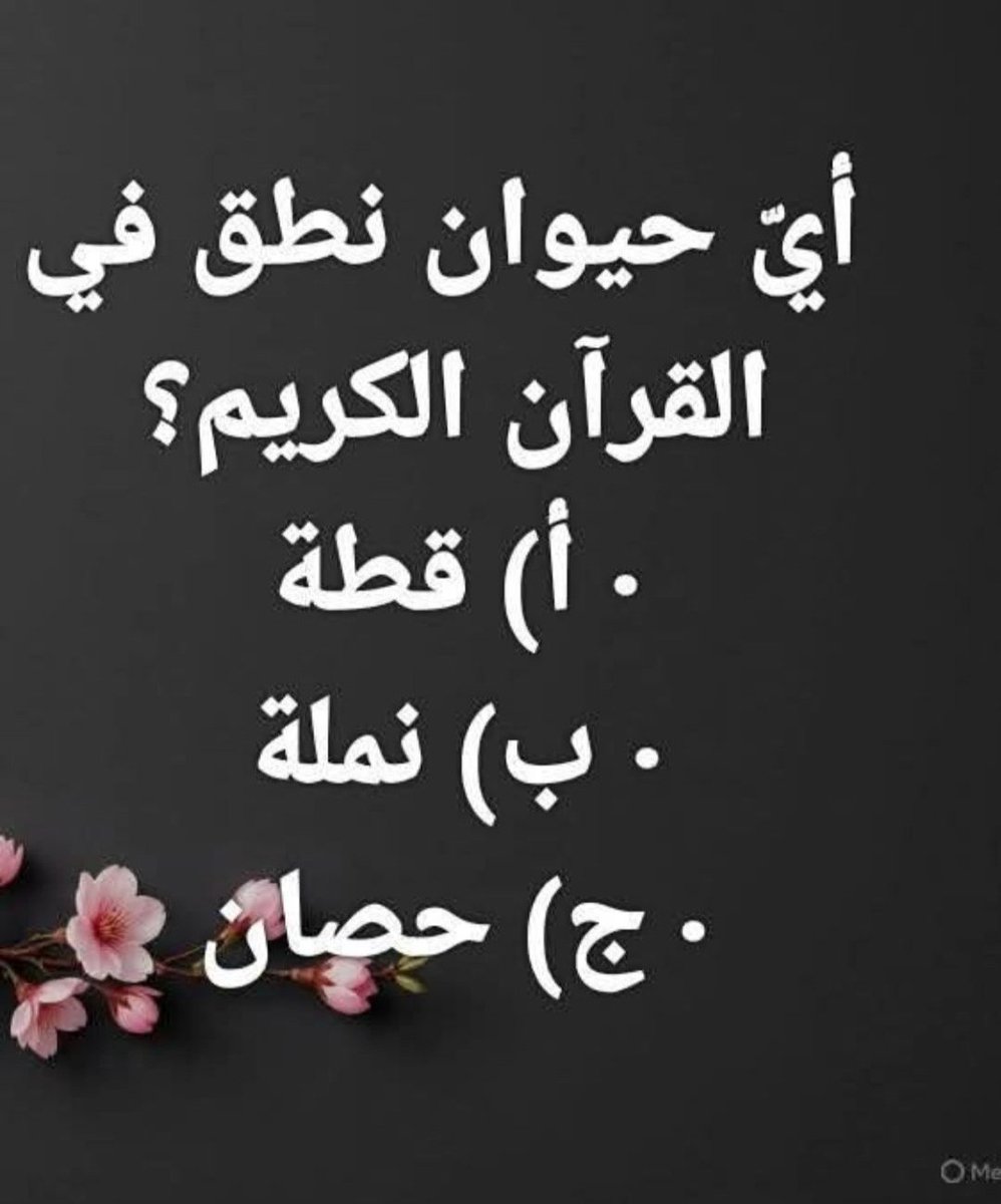 Princess Adwa Al Saud tweet media