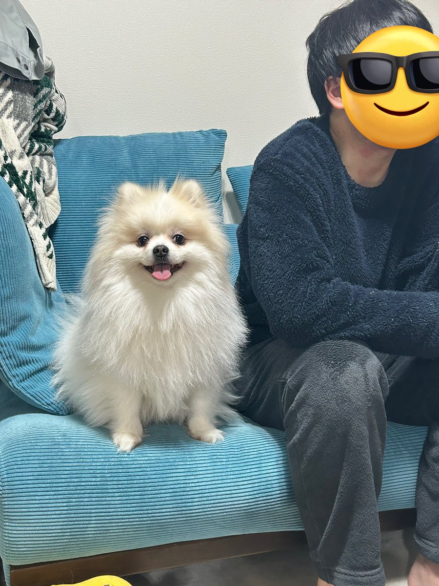 🍞まる。 tweet media