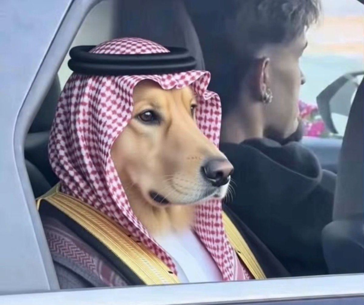 هذا حاله بعد و هو يشوف العالم تضحك على نظراته التي لم ترعب أحداً.