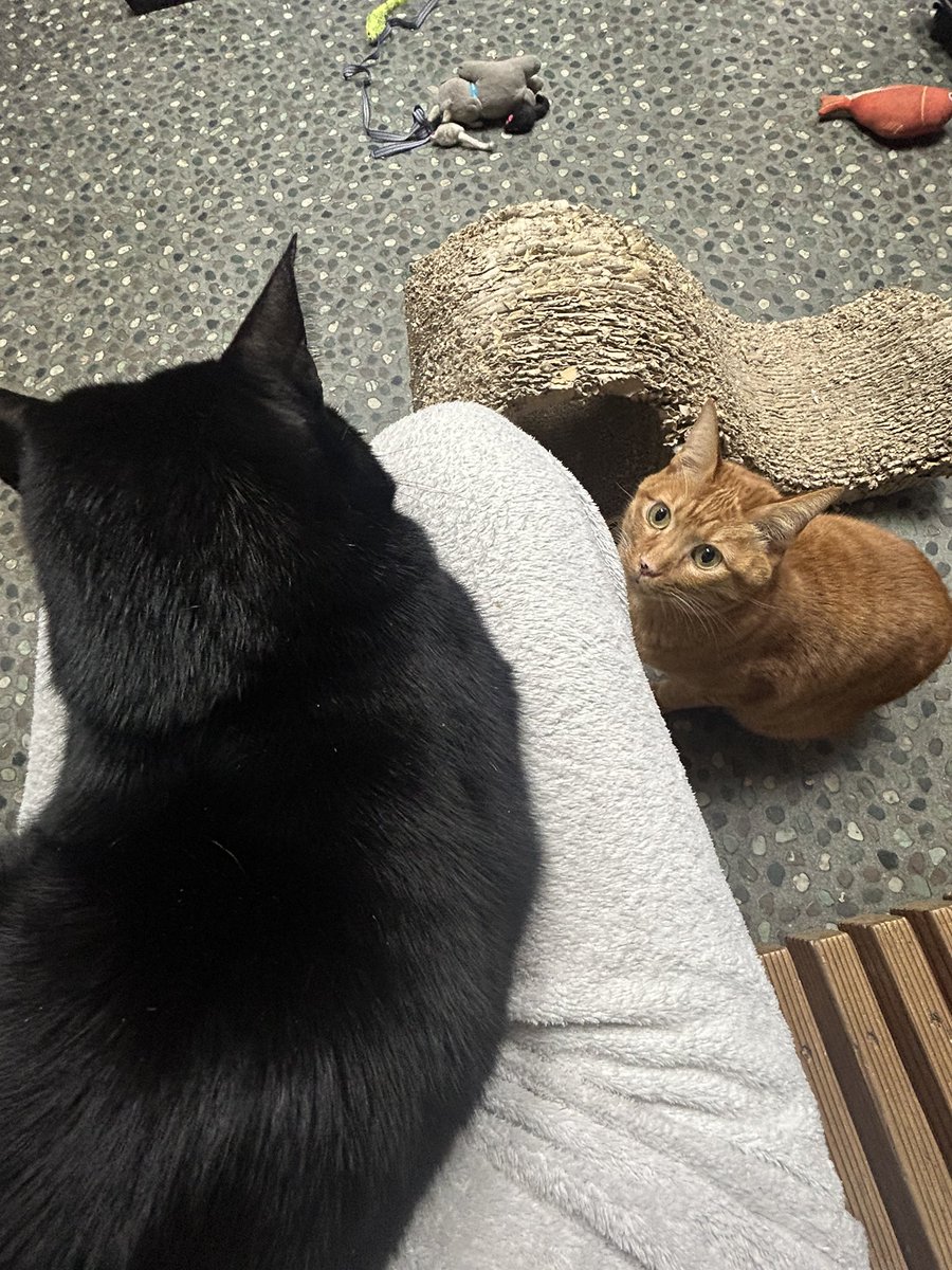 H I R O M I (@HIROMI66136439) / Posts / X