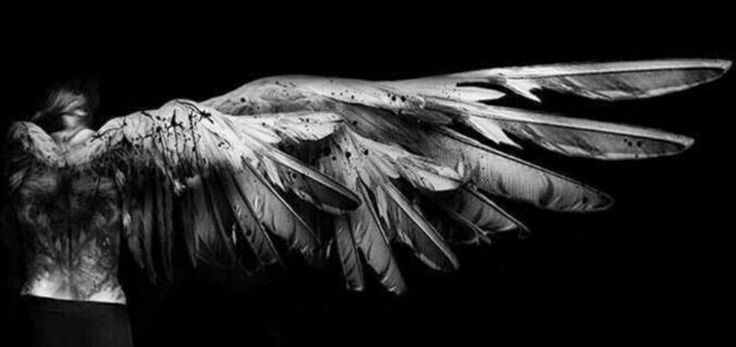 onni fya 🔪 #zsadm tweet media