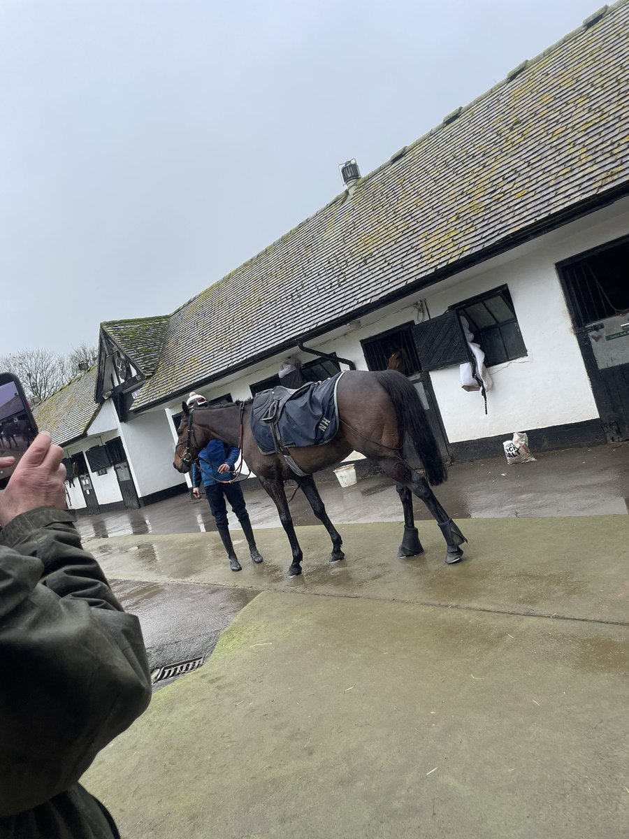 EmilyLouise 🐎 tweet media