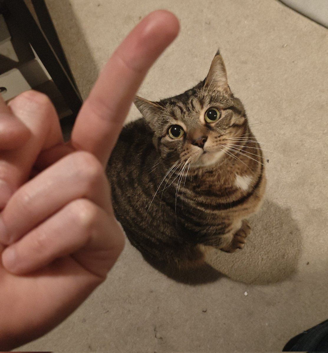 Grillmaster Harry tweet media