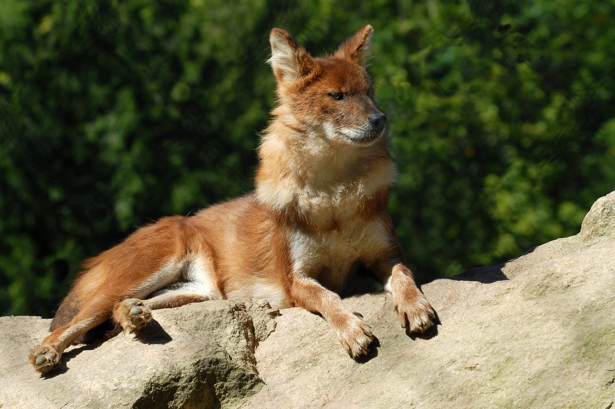 Shu'la✨ tweet media