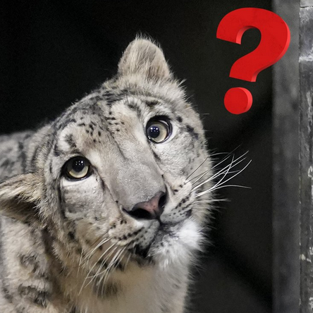 Evelyn ❄ tweet media