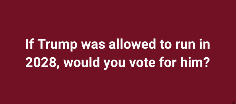 One Bad Dude tweet media