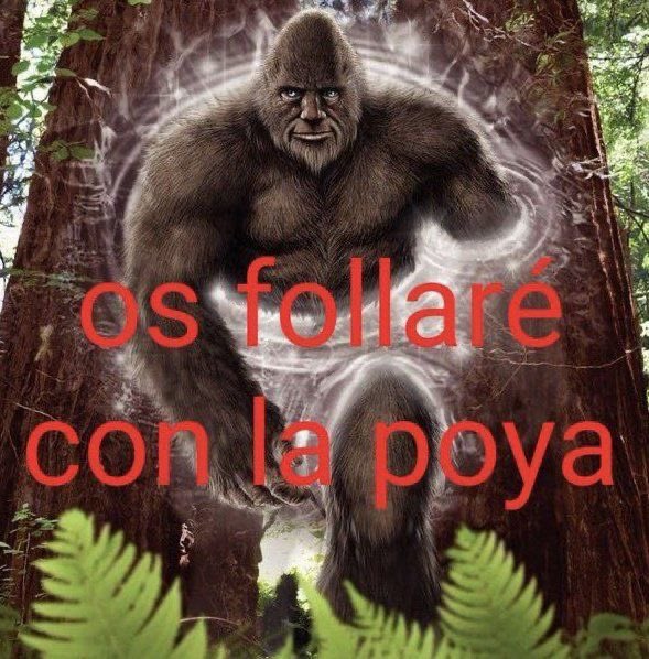 chincheto pirata somali (@wikipistacho) on Twitter photo 