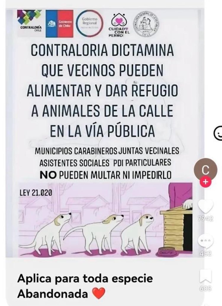 manecita tweet media