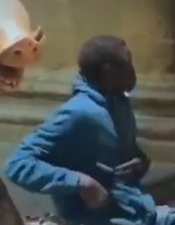 Einherjar tweet media