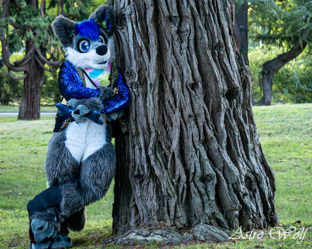 AstroSnowstorm's tweet photo. Think I'm gonna take some shade under this big strong sturdy looking tree.

#FurryFandom #Furry #FursuitEveryday #FursuitFriday #fursuit #fursuiting #fursuiter #wolffurry #wolf #nature

🪡@LupeSuits
🐺@AstroWolf https://t.co/dC1uto6wJW
