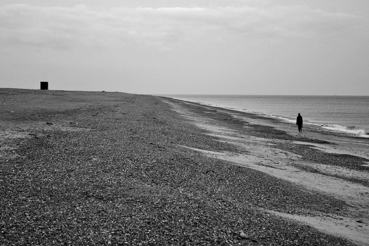 scullridge's tweet photo. #Cley 26/2 https://t.co/HILyTlXM2e