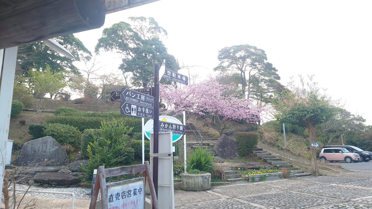 Minaコス 第15回 𝙸𝙽湯ノ児海浜公園 tweet media