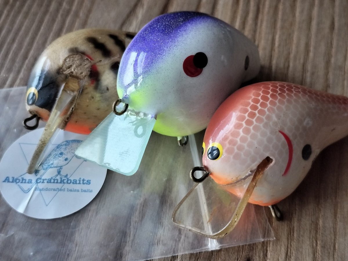 Texas Bank Fisherman 🇨🇱 (@TexasBankFish1) / Posts / X