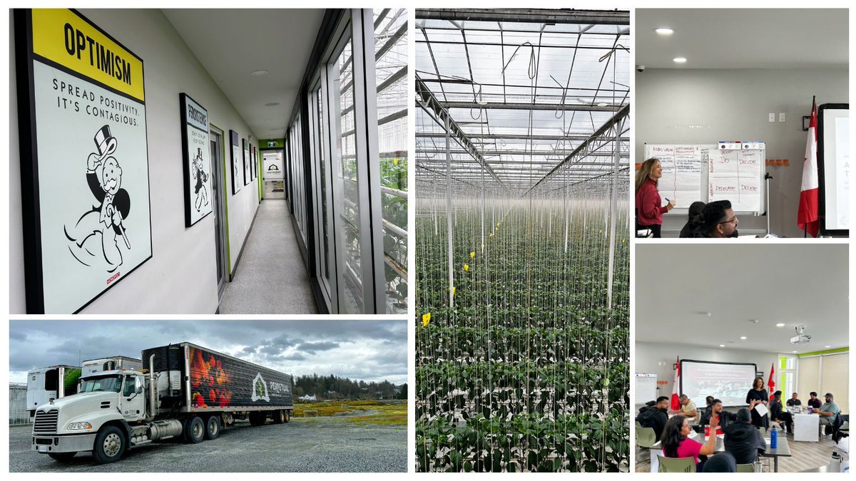 Upskill Consulting tweet media