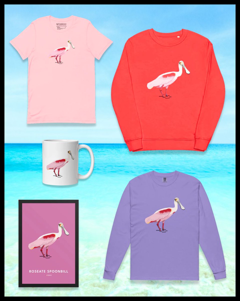 colorflock's tweet photo. Here's more from the artist:

"I grew up in Texas and often saw these birds as a kid at the gulf coast. I always assumed they were a strange looking flamingo, but now that I'm a birder I've come to adore them for their vibrant colors and endearing, if goofy, face." - Cameron https://t.co/zlIFL19iE7