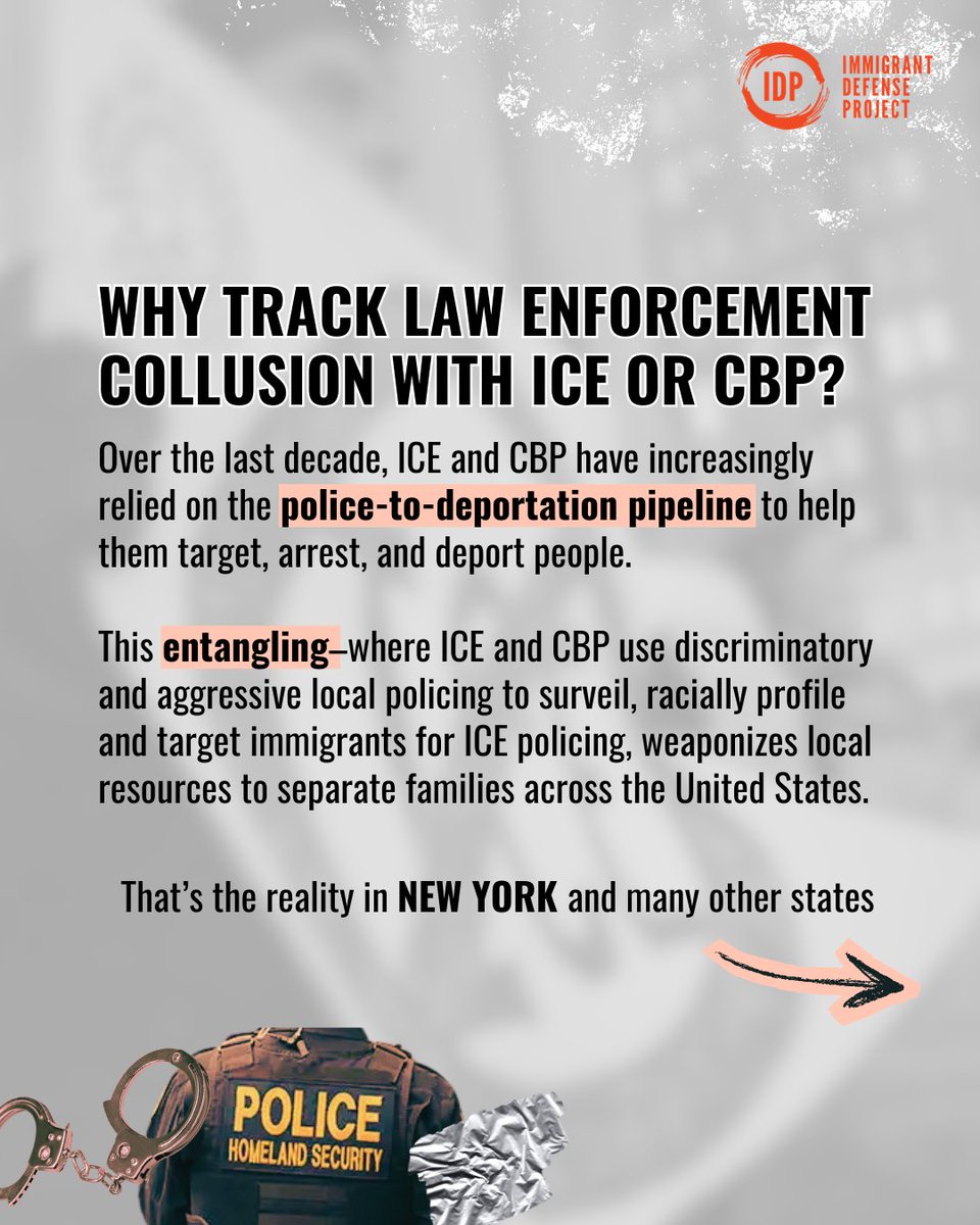 Immigrant Defense Project tweet media