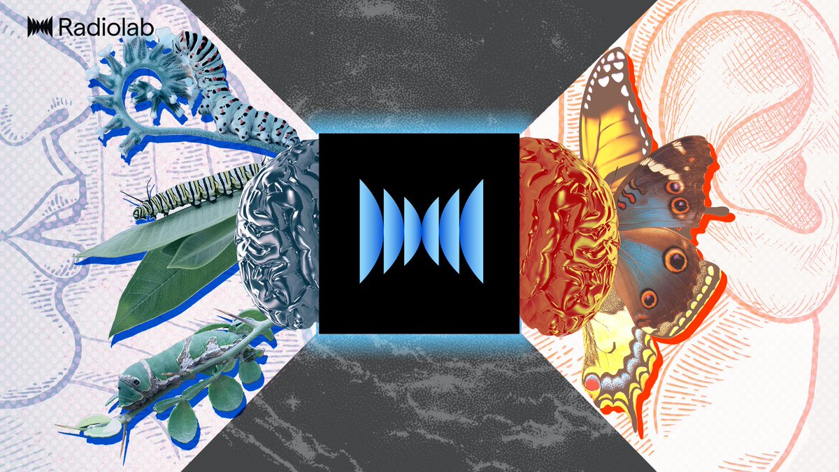 Radiolab tweet media