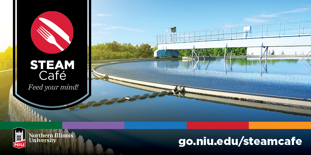 NIU STEAM tweet media