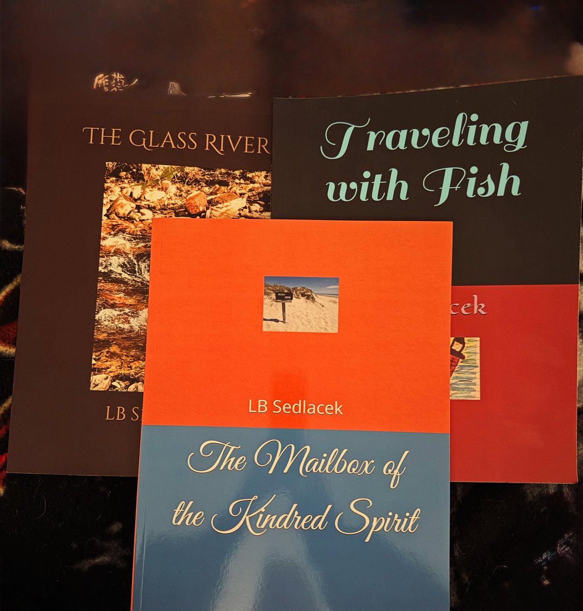 Got poetry, got fiction? A few selections available at tybrisabooks.com #fiction #poetry #tybrisabooks #lbsedlacek